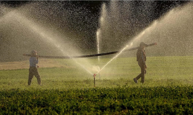 “Su Verimliliği Seferberliği” başladı: Tercih değil mecburilik