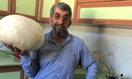 Elazığ’da köylüler 4 kiloluk mantar buldu