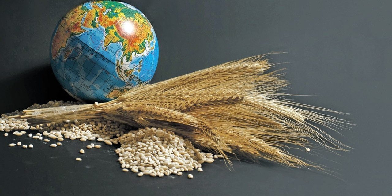 G7 önderlerinden, global besin güvenliği krizine karşı işbirliği iletisi