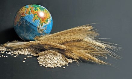 G7 önderlerinden, global besin güvenliği krizine karşı işbirliği iletisi