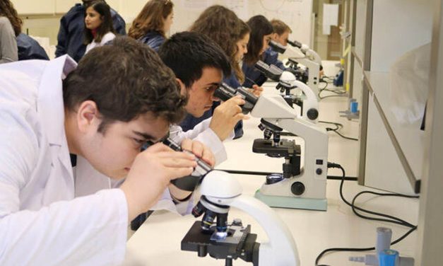 Gençler, toplumsal sorumluluk projelerinin odağında