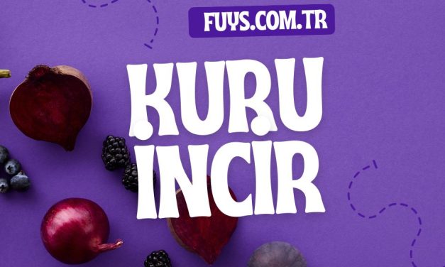Nazilli’den Dünyaya Kuru İncir Markası: Fuys.com.tr