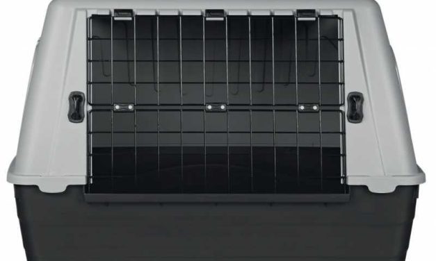 Uçak için köpek taşıma kafesi